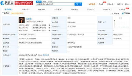 楊天真創(chuàng)辦真真品牌管理公司 以專業(yè)攝像與制作服務(wù)賦能品牌升級(jí)
